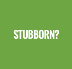 Stubborn?