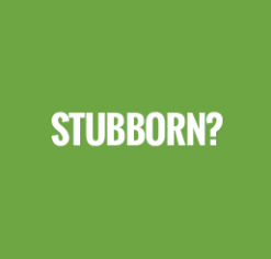 Stubborn?